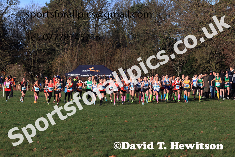 Girls Under-13s 2025 North Eastern Champs. Photo: David T. Hewiton/Sports for All Pics